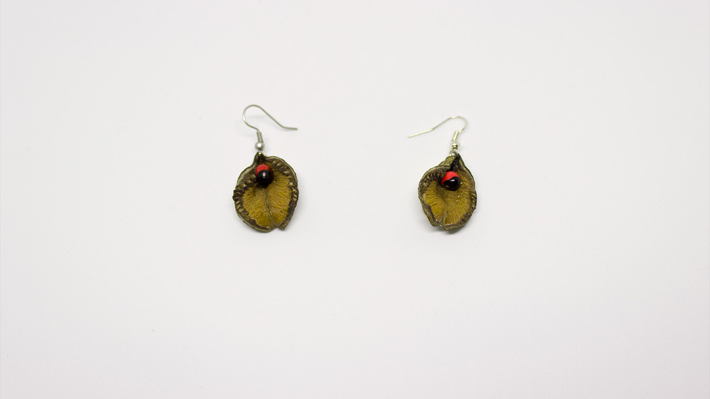 91 Ohrringe Fruchtschalen und Samen